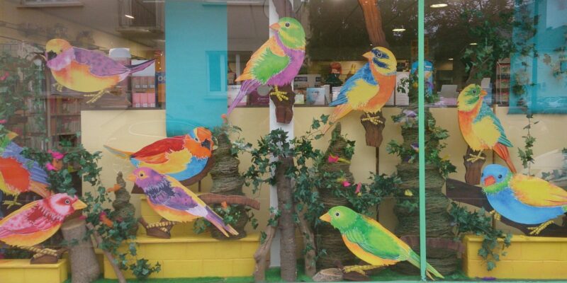 oiseaux geants scaled