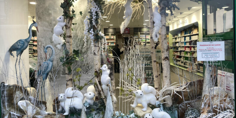 2025 01 17 11.06.25 1 scaled