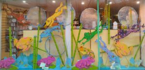 Grenouilles colorees