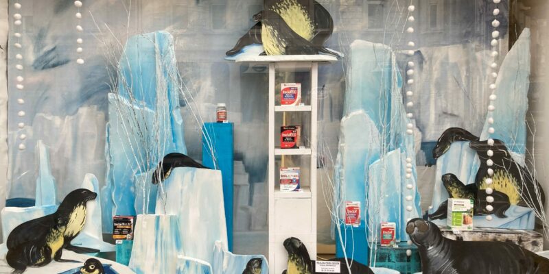 banquise phoques scaled