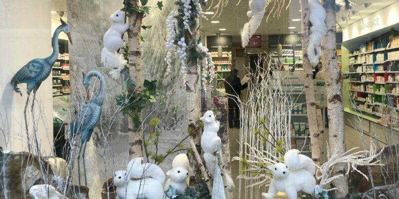 ecureuils givres scaled